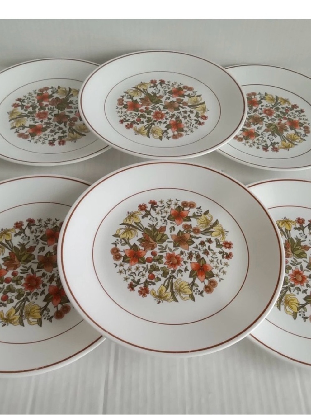 Vintage Corelle Indian summer Floral luncheon  Plates 6